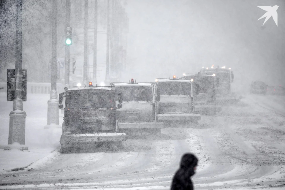 В МЧС Беларуси предупредили о гололедице и сильных снегопадах 25 ноября.