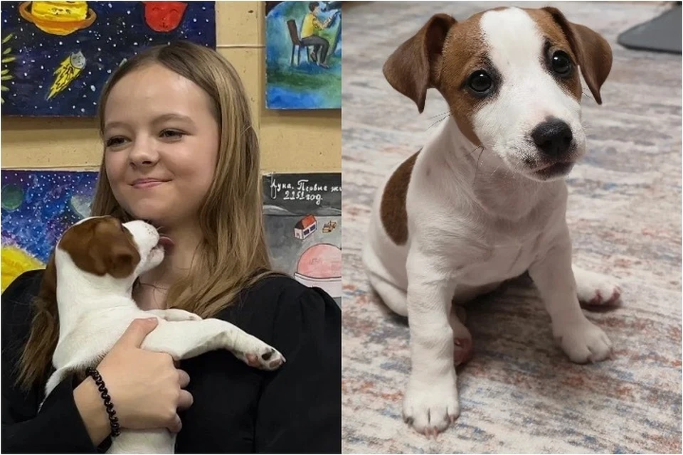 Завести питомца было самой заветной мечтой 12-летней школьницы. Фото: Ирина Полковникова