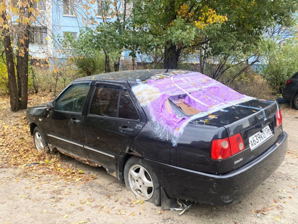 Фото - мэрии Воронежа