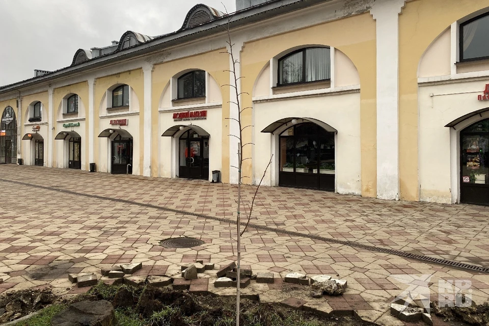 На «Дом.рф», выселяющего предпринимателей из Торговых рядов, подали иск на 12,8 млн рублей.