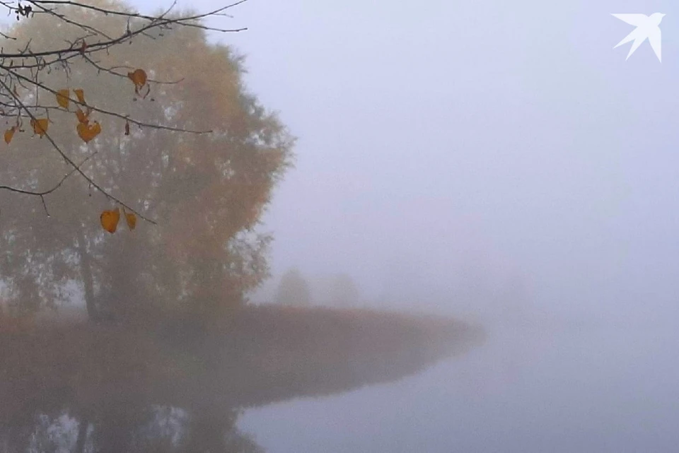 В МЧС напомнили о факторах опасности при тумане и сильных осадках. Фото: архив «КП».