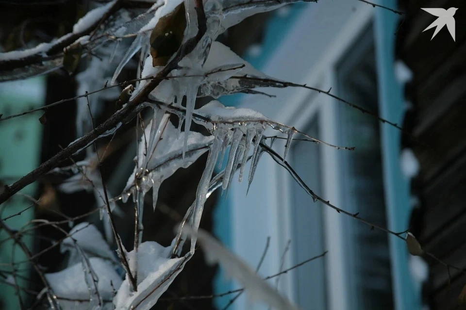 Ледяной дождь, гололед и налипание мокрого снега ожидаются в Удмуртии