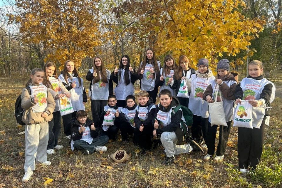 фото: школьное лесничество "Юнлеском"