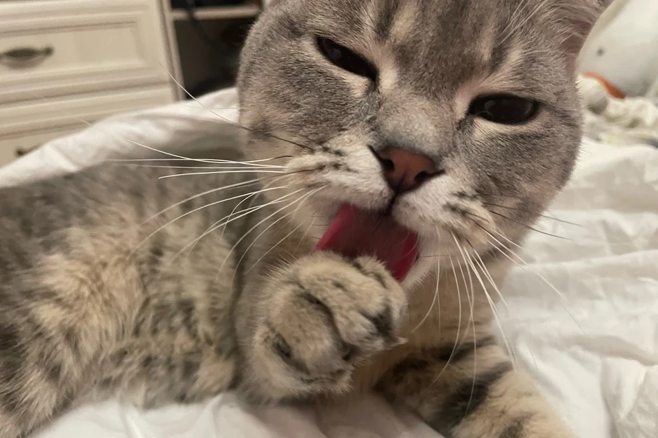 Фото: Диана РОГАЧЕВА-РАДИНСКАЯ