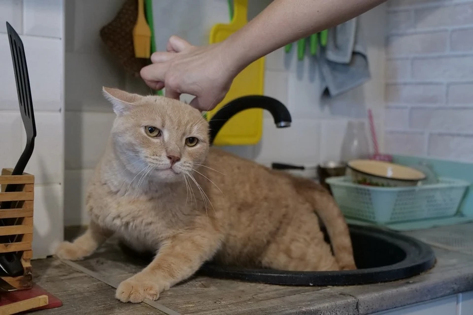 Кроме того, ведется ремонт канализационной линии на улице Ставропольской.