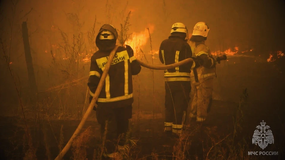 Обошлось без человеческих жертв. ФОТО: МЧС России