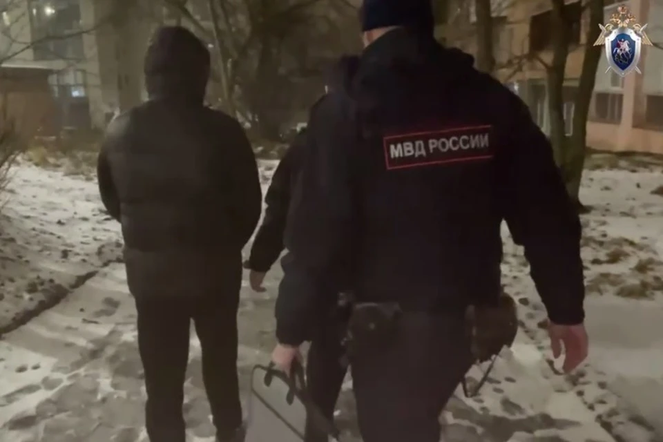 Обвиняемые арестованы. Фото: СУ СК Удмуртии