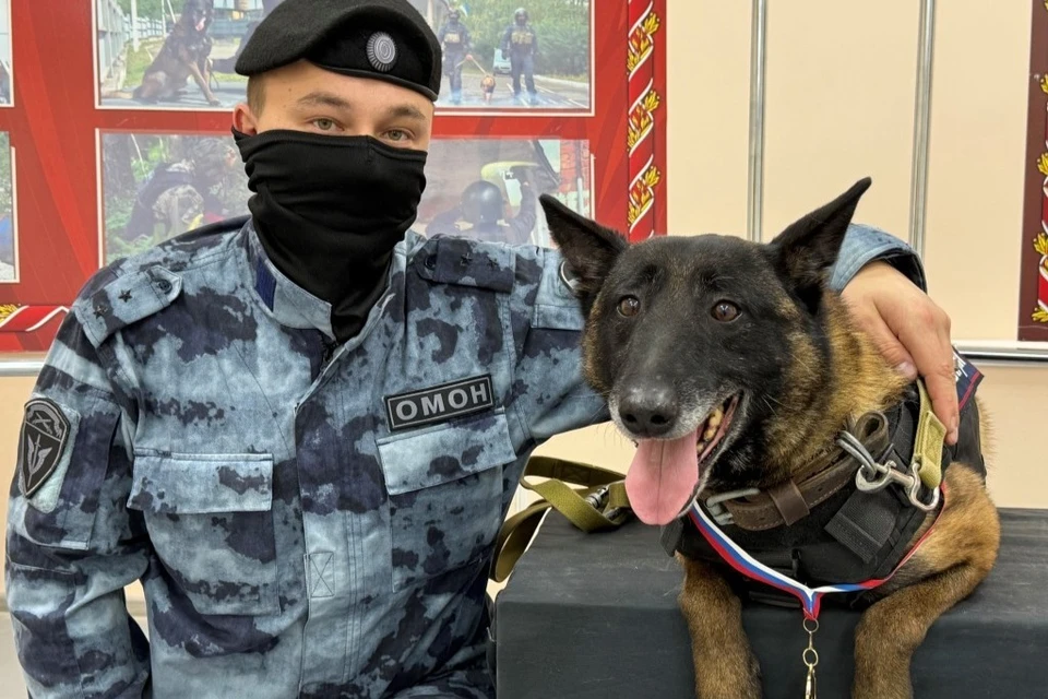 В ноябре собаке-ветерану исполнилось восемь лет — это предельный возраст для службы. Фото: Росгвардия Коми.