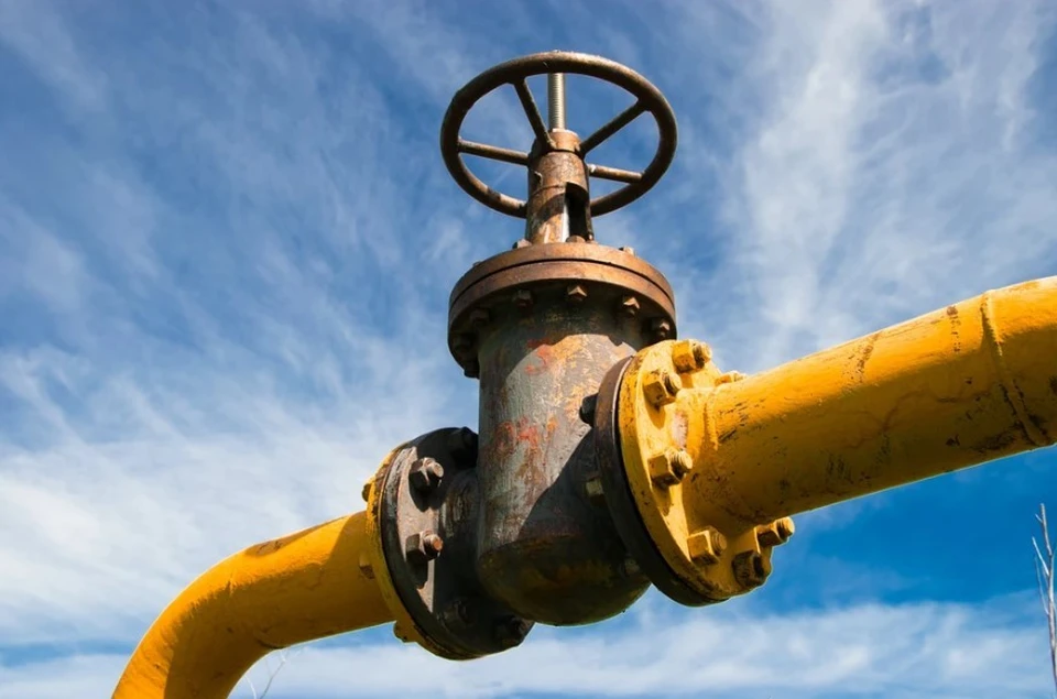 Лидер АдГ Вайдель: Германии необходимо возобновить закупку нефти у РФ