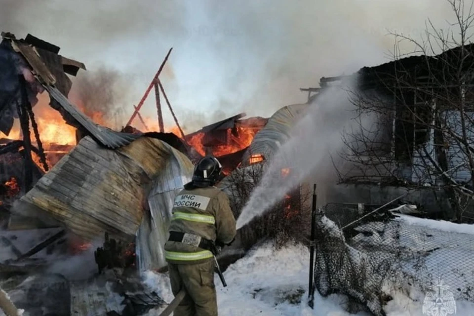 Огонь уничтожил надворные постройки. Фото: ГУ МЧС Свердловской области