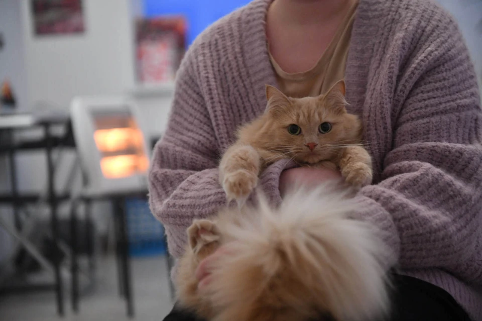 Отопление частично отключат в Иркутске 3 декабря.