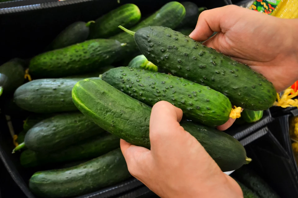 Фермерскому кооперативу в Хабаровском крае помогли развиться по нацпроекту