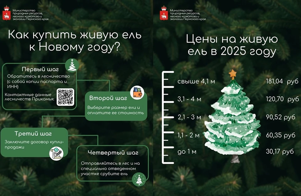 Фото: Министерство природных ресурсов Пермского края