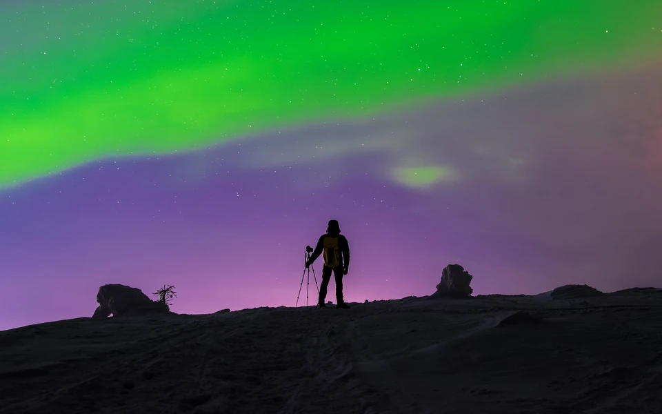 Фото: mika_mgla/Shutterstock/Fotodom