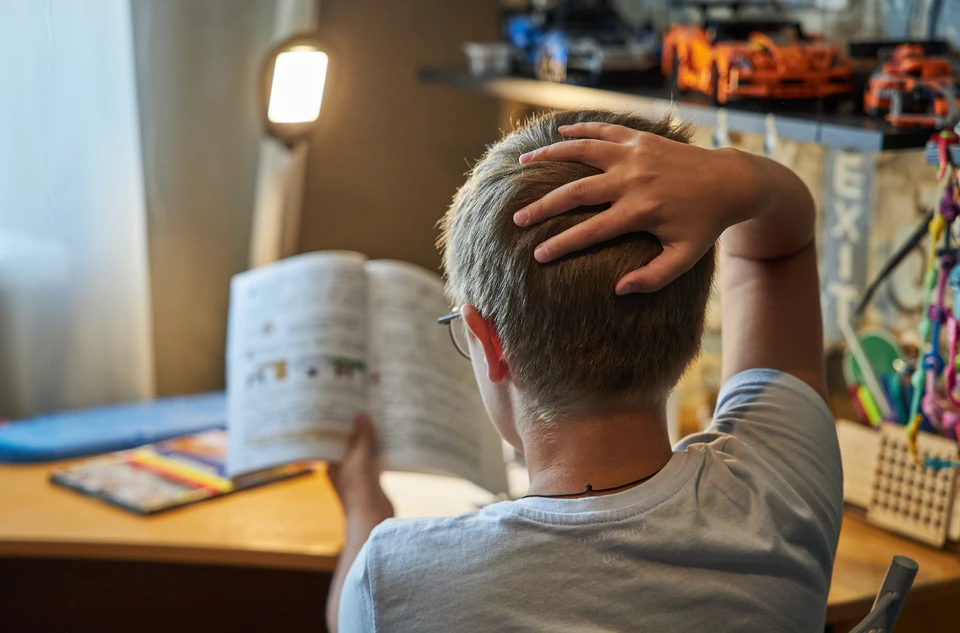 Нижегородские педагоги протестировали новый учебник по обществознанию.