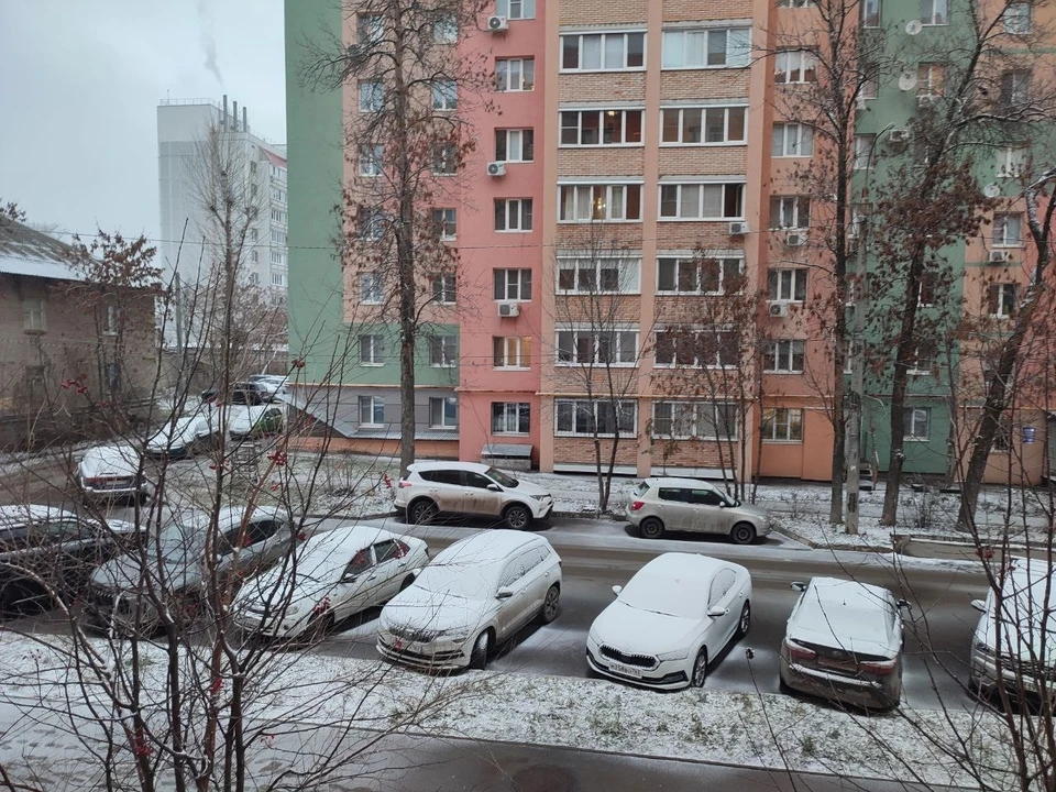 Первый снег укрыл город.