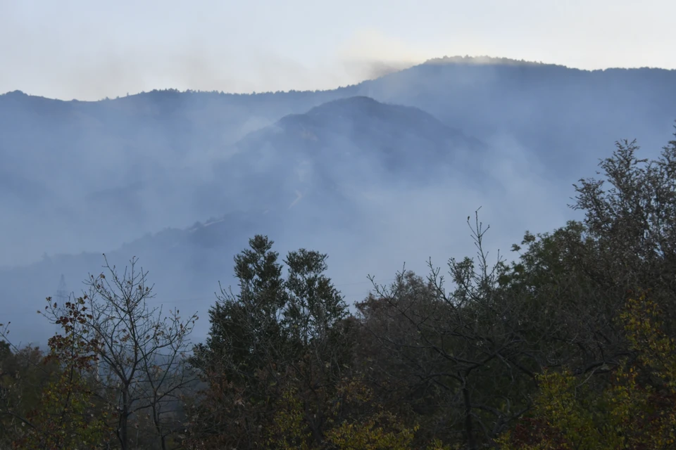 Жители жалуются на задымления