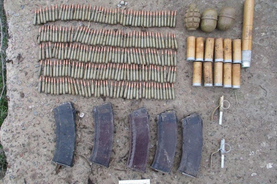 Патроны и гранаты нашли в брошенном доме. Фото: ГУ МВД Росси по ЗО