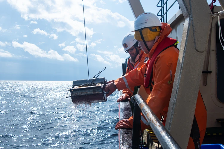 Тайна белого моря: ученые сравнили, что изменилось за 100 лет