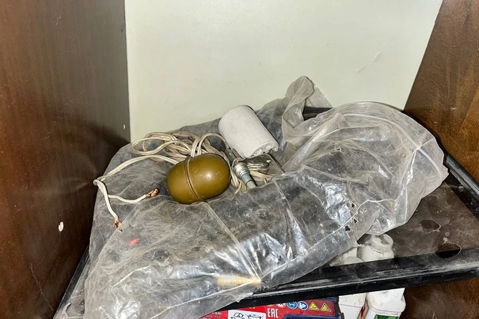 В Торезе сотрудники полиции изъяли у мужчины гранату. Фото: МВД ДНР