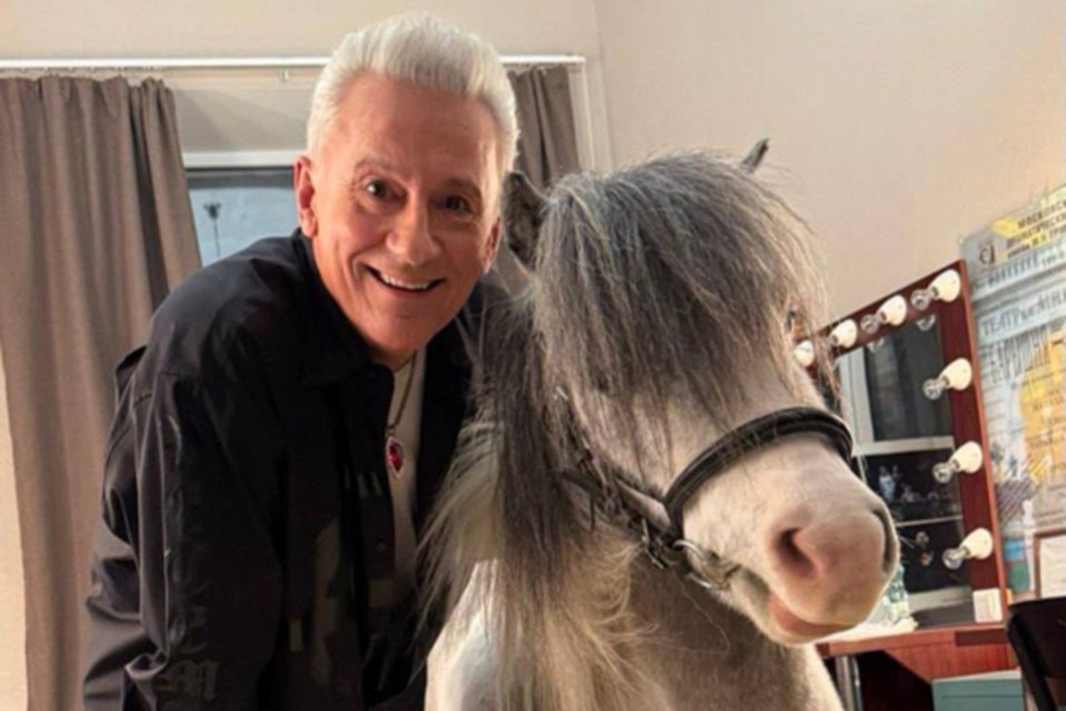 Дмитрий Харатьян, Олег Меньшиков, Ольга Кабо сделали фото с лошадьми на удачу, а что сулят им звезды в новом году