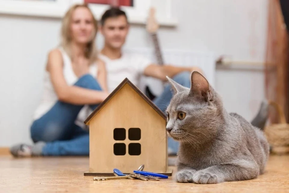 Риелтор объяснил, что стоит учесть при продаже квартиры в России в 2026 году