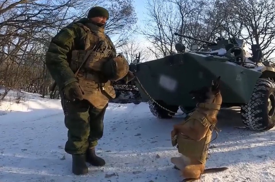 Маугли: учил Лукру искать взрывчатку, играя с ней в мячик