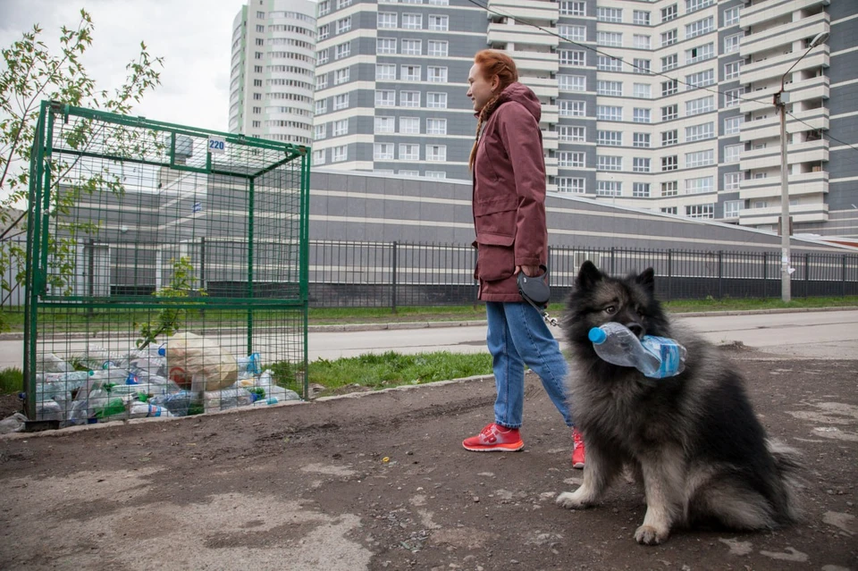 Жители региона ежедневно приносят в пункты выкупа пластиковые бутылки, макулатуру и стеклянную тару.