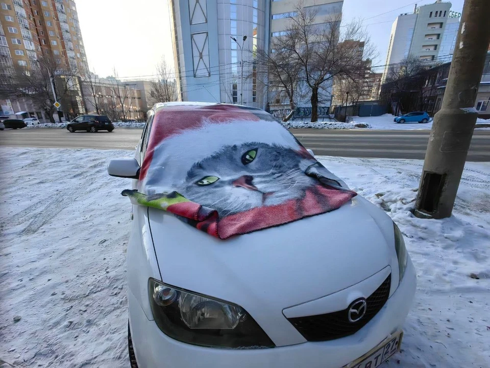 Фото: Ольга Григорьева