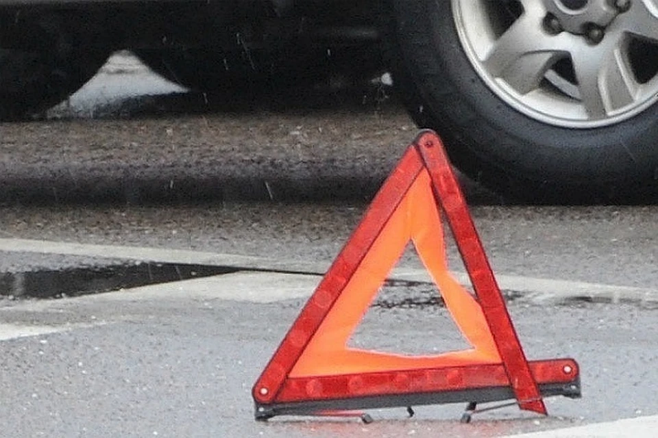 В период с 2024 по 2025 годы произошла 21 авария, в которых пострадали и животные, и люди.