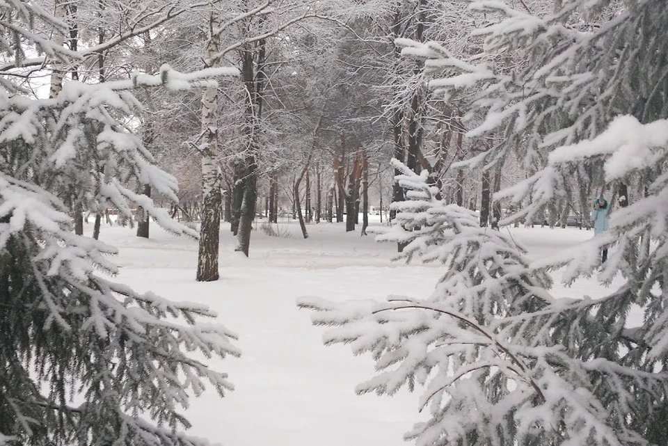 В ближайшие сутки на территории Татарстана ожидается небольшой снег.