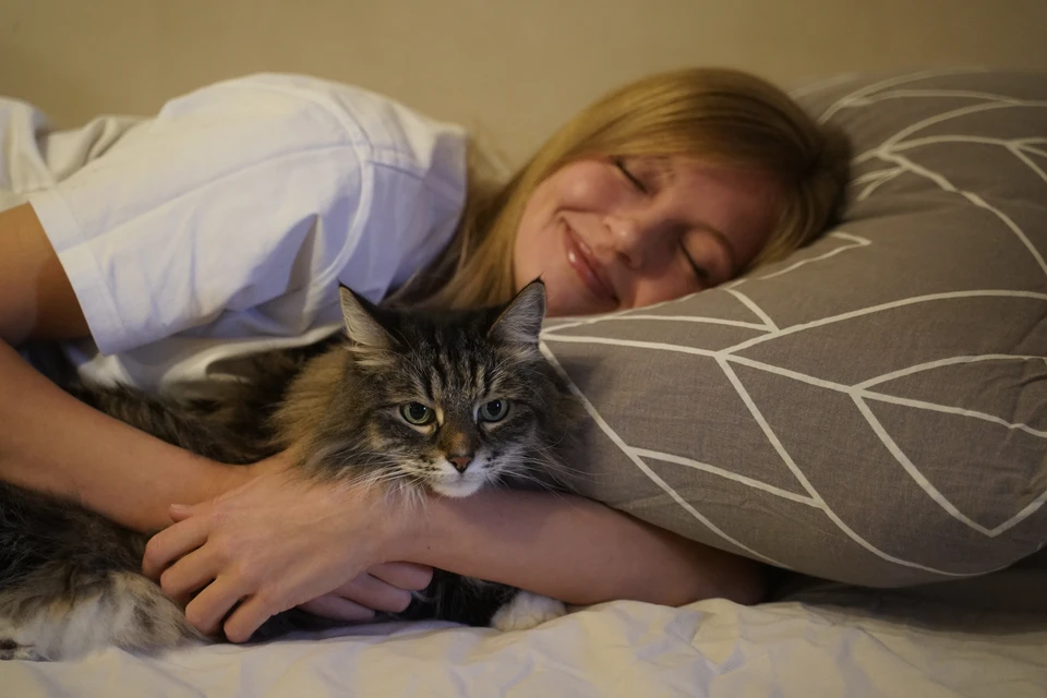 Коты и собаки ночью будят вас чаще, чем кажется.