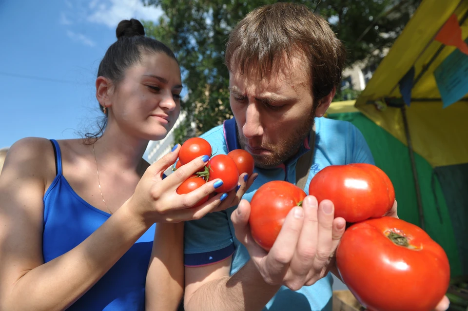 Сокращение числа КФХ грозит снижением продовольственной безопасности и исчезновением малых населенных пунктов.