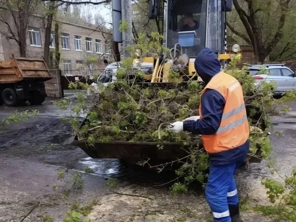 По предварительной информации, в городе упало около 50 деревьев. Фото: https://max.ru/club_ivan_noskov