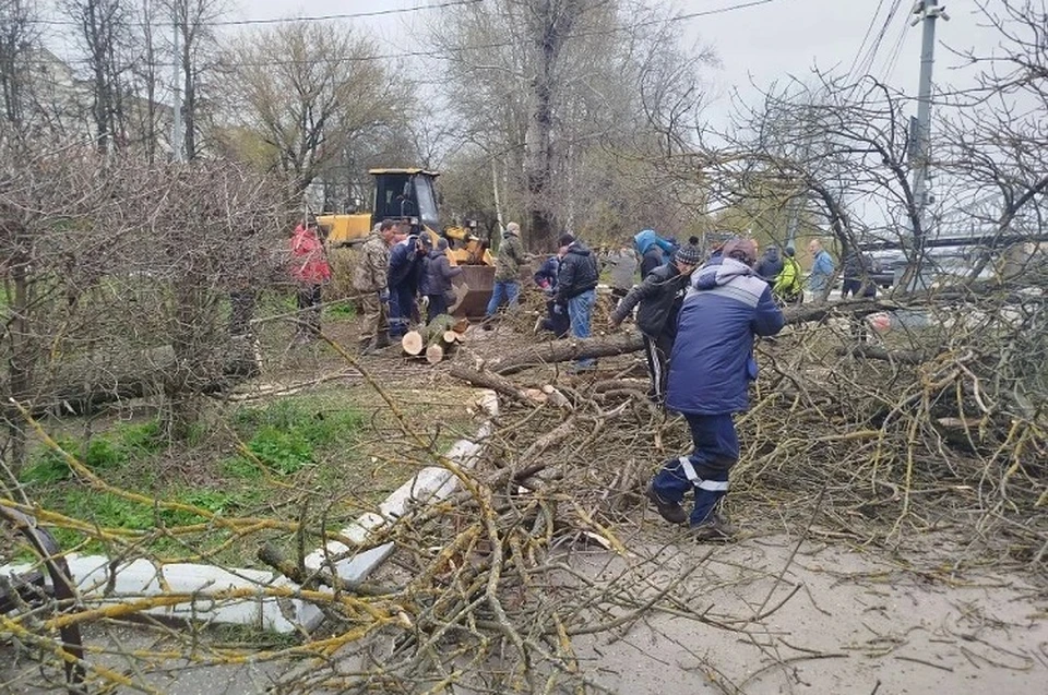В Твери каждый выходной проводится субботник. Фото: пресс-служба администрации Твери