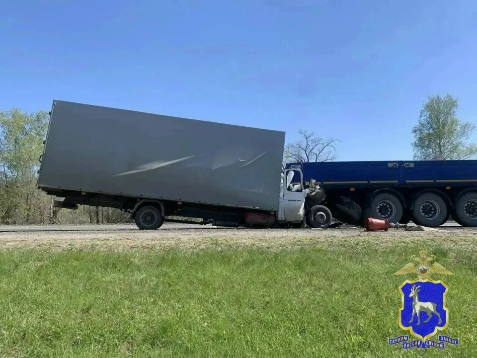 Водитель «Газели» скончался на месте.