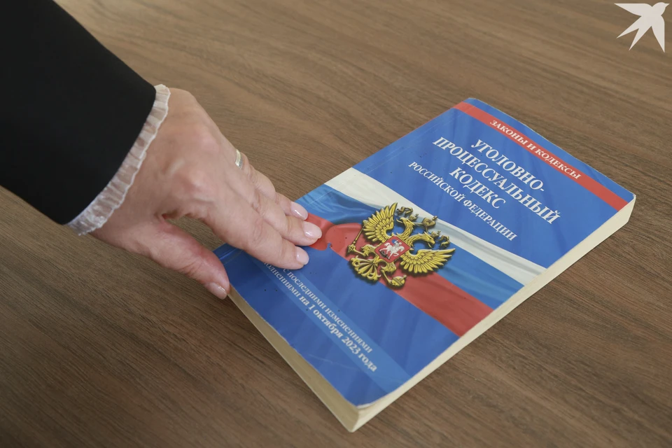 Северянка посчитала приговор слишком суровым и просила не лишать ее свободы.