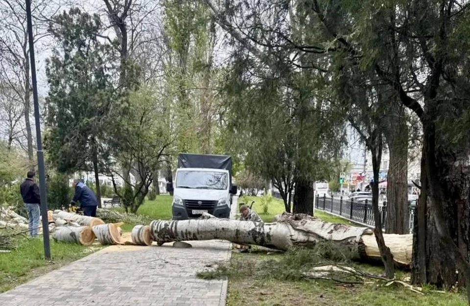 Фото: МБУК «Парки столицы»