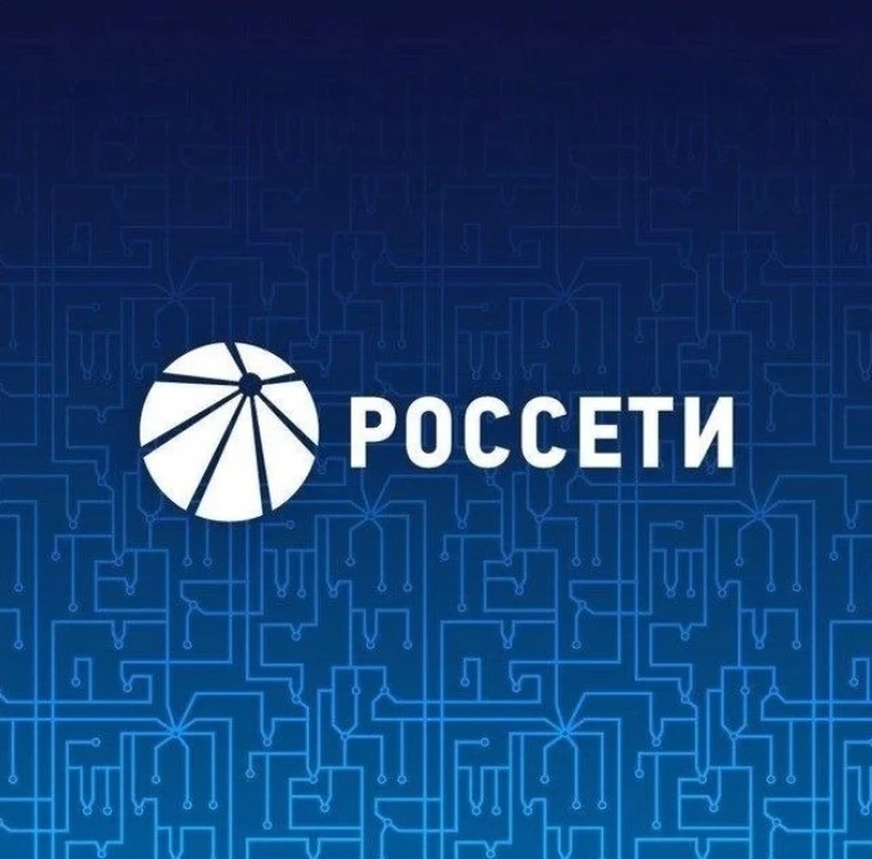 Фото предоставлено «Липецкэнерго»