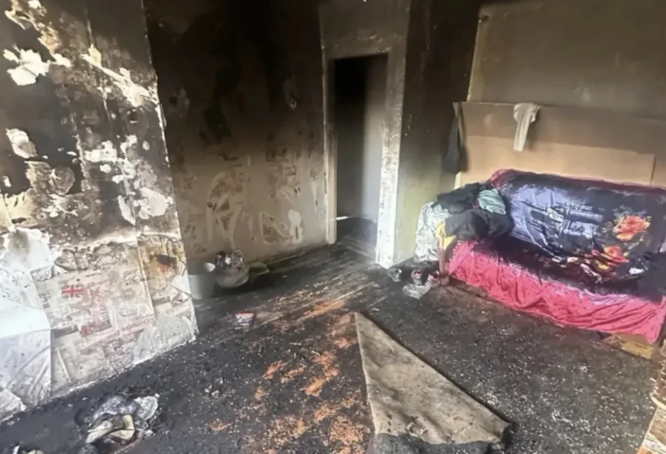 В Иркутске кошка опрокинула пепельницу с непотушенным окурком и устроила пожар