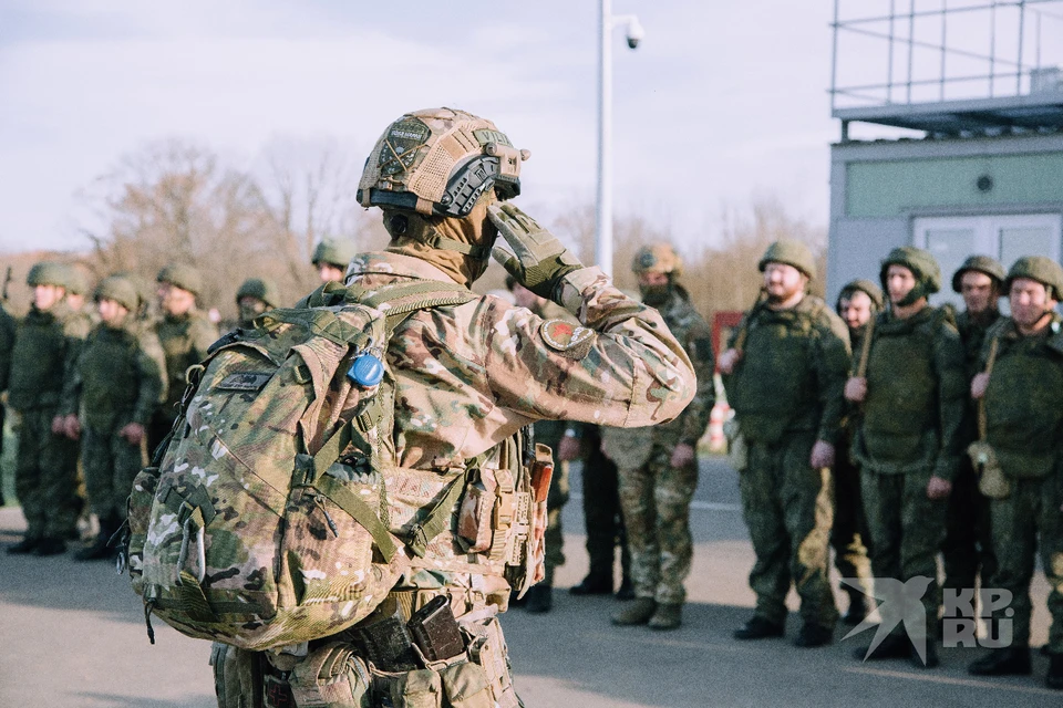 В прокуратуру поступило 177 обращений от рязанцев-участников СВО и их семей