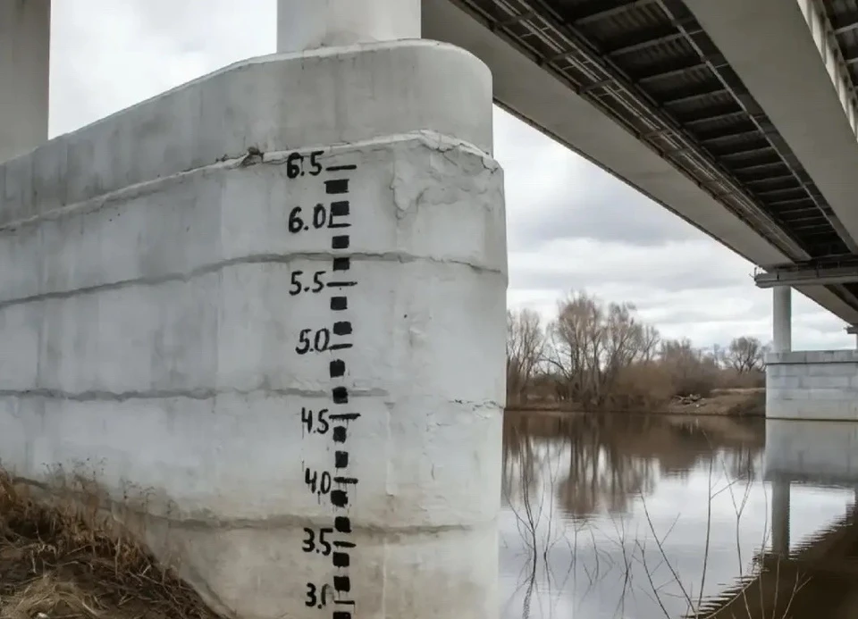 Фото: Александр Моор, ВК.