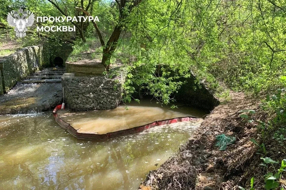 Прокуратура Москвы проводит проверку информации о загрязнении реки Очаковка