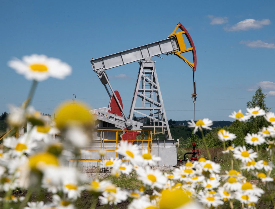 В США идет работа над санкциями против импортеров нефти РФ