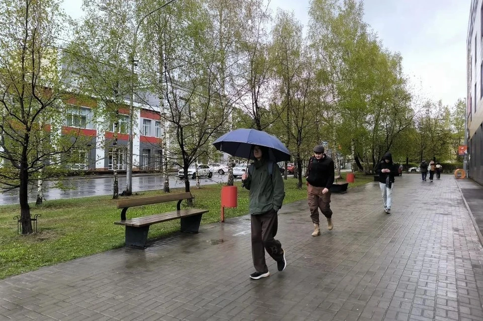 Зонты и теплые курки будут актуальны в Томске и области в предстоящие выходные