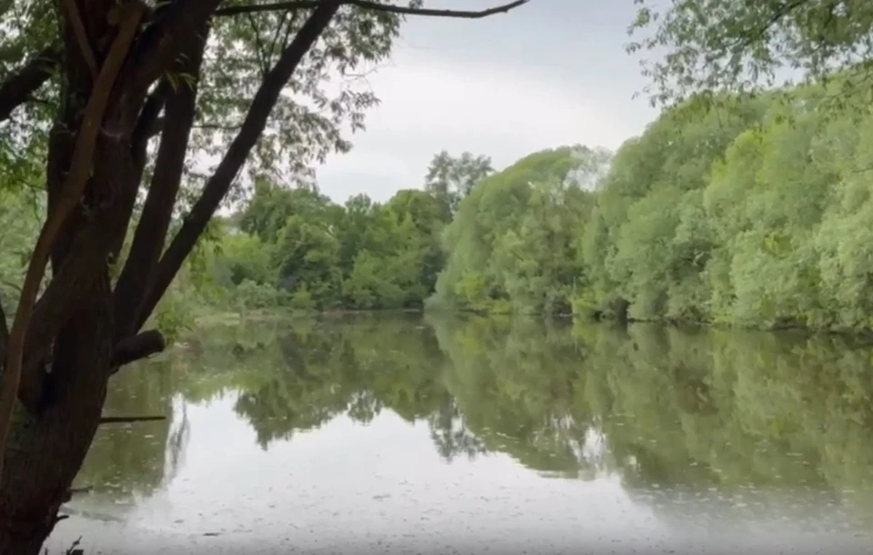 Фото: администрация города Владимира