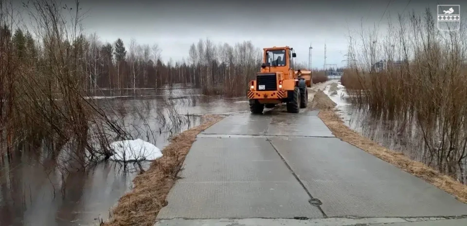 Фото: администрация Пуровского района