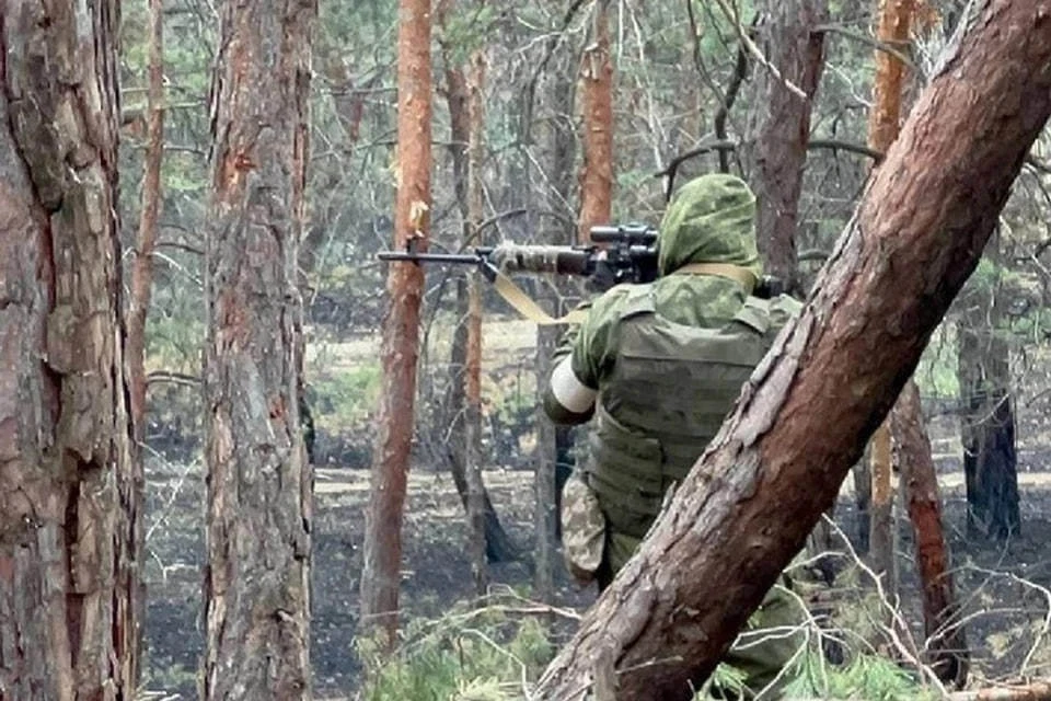 ВС РФ «Южной» группировки войск заняли более выгодные рубежи в ДНР (архивное фото)
