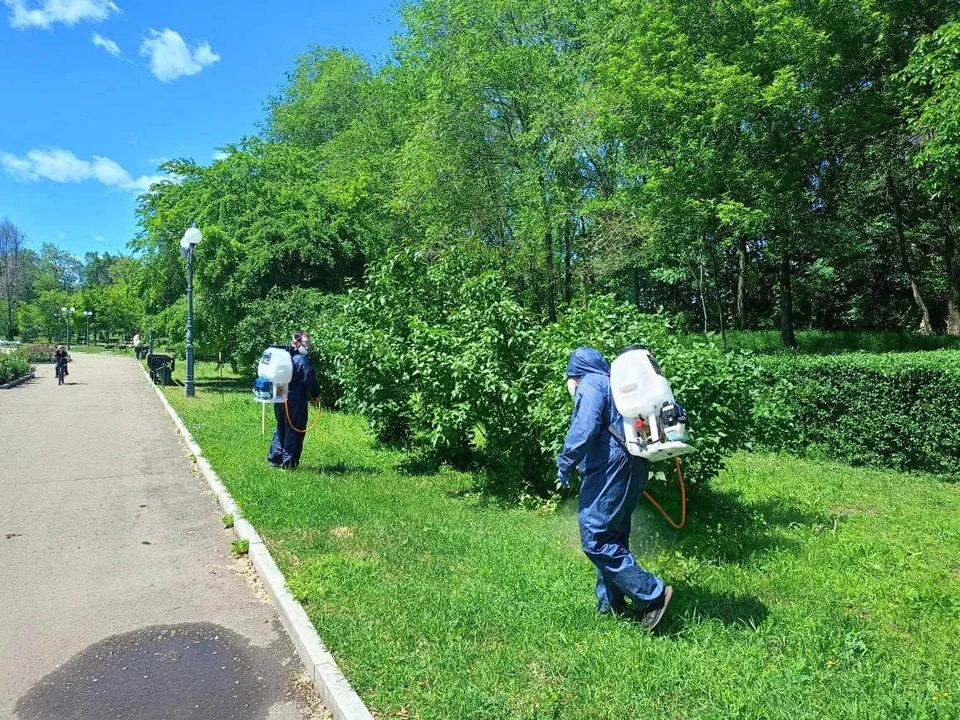 Фото: администрация Луганска