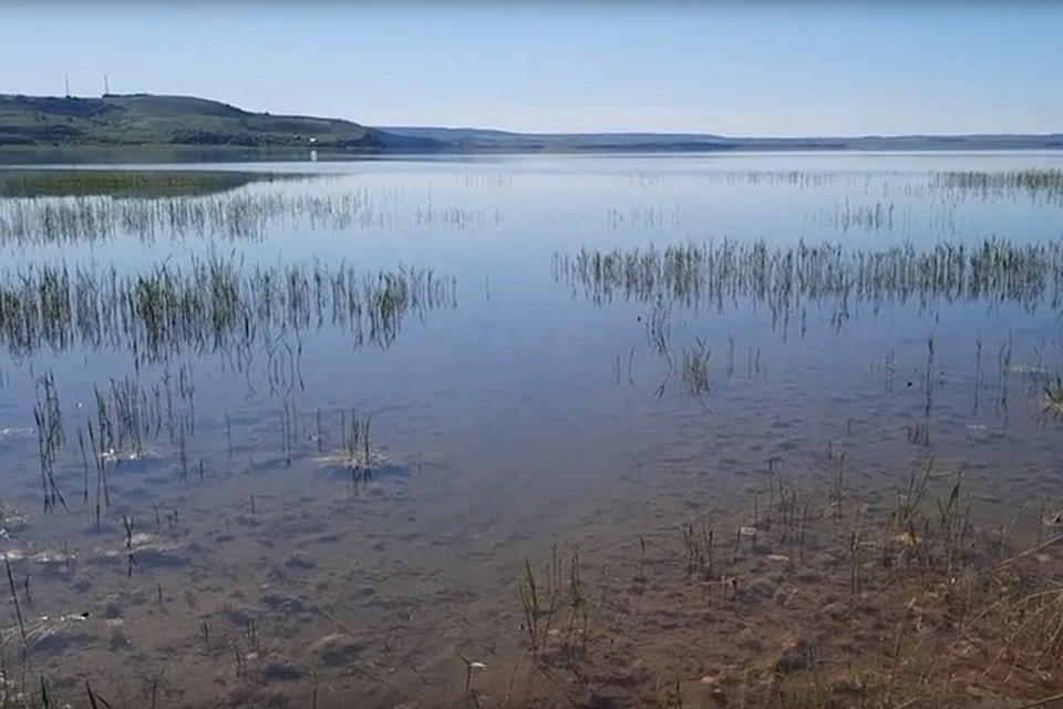 Фото: Александр Веселов